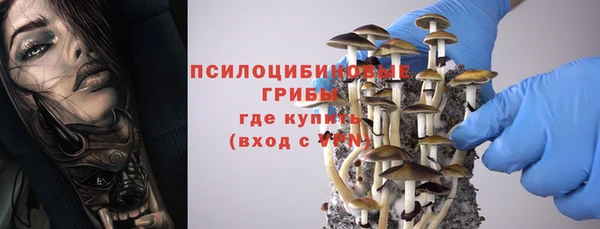 амфетамин Белокуриха